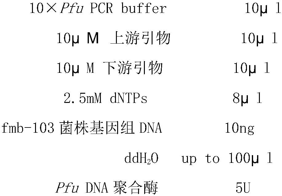 Preparation method of chitosan derivative and application of chitosan derivative to food preservation