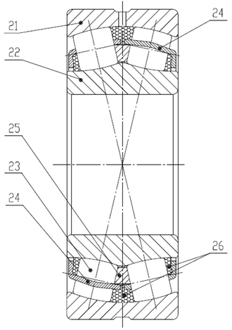 Rolling bearing and manufacturing method for solid lubricated rolling bearing