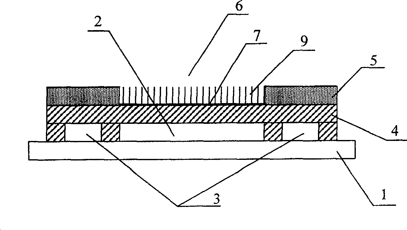 Plate display having anode regulating resistance structure and its manufacturing technology