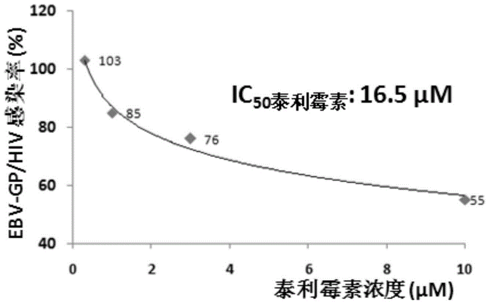 Applications of azithromycin and telithromycin in anti-Ebola virus infection