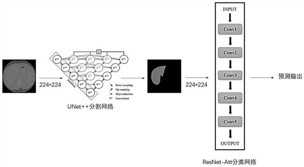CT angiography image classification method suitable for Lee's artificial liver treatment