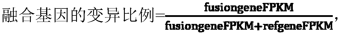 Gene fusion mutation library construction method, gene fusion mutation detection method, gene fusion mutation detection device, equipment and storage medium