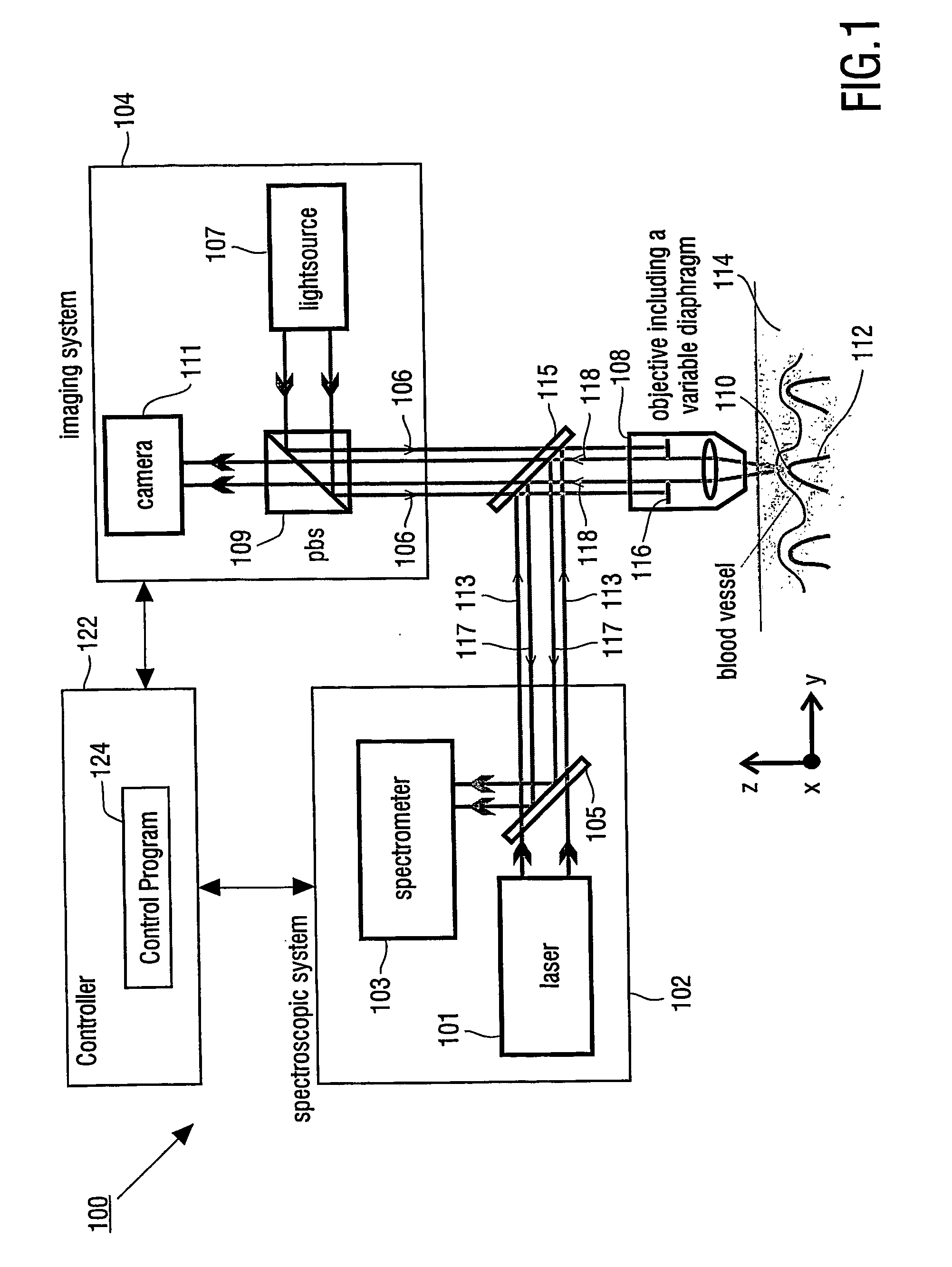 Method and apparatus for determining a property of a fluid which flows through a biological tubular structure with variable numerical aperture
