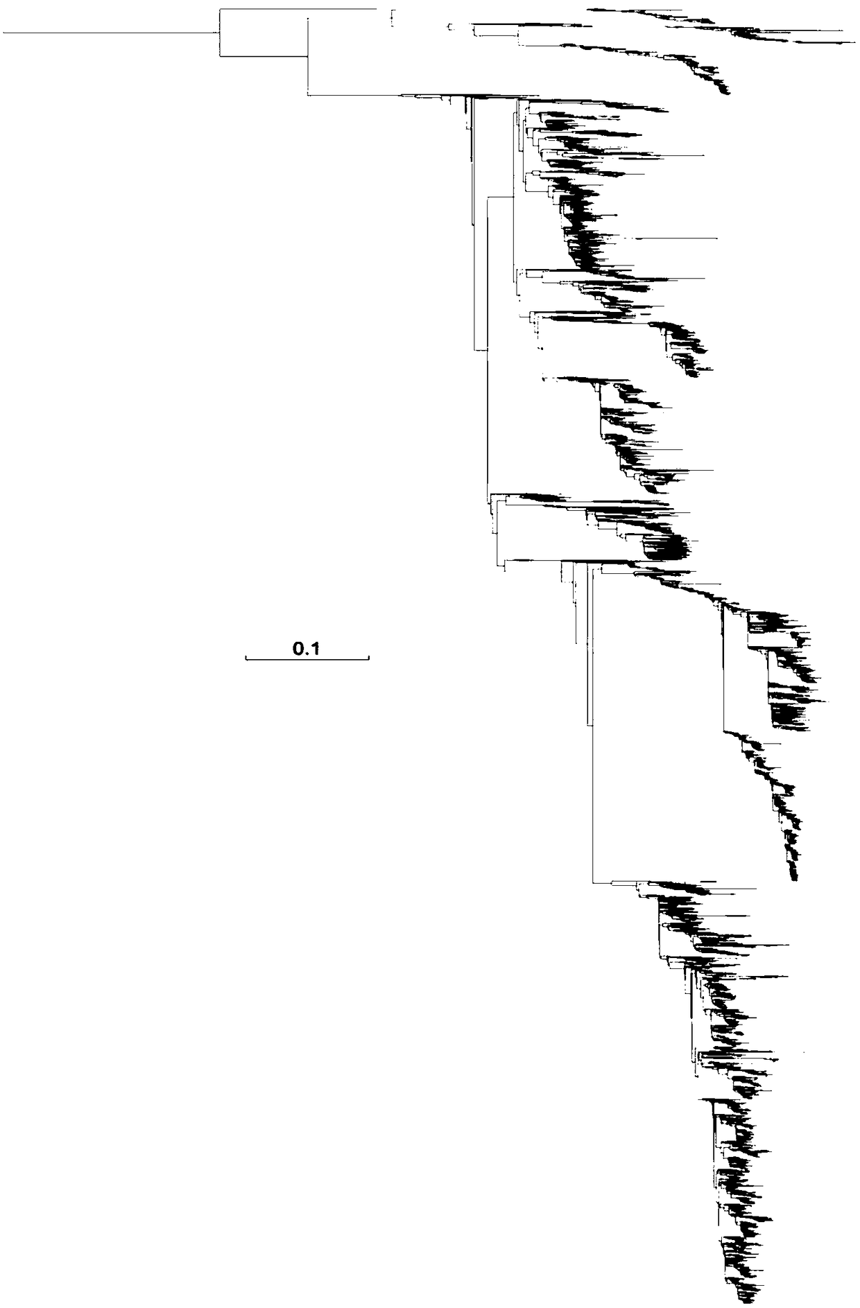 Method for automatically detecting reassortment of segmental RNA (Ribonucleic Acid) virus