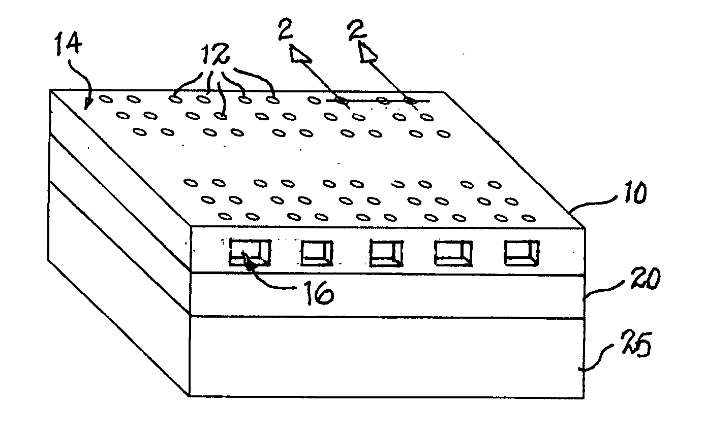 Braille module with compressible pin arrays