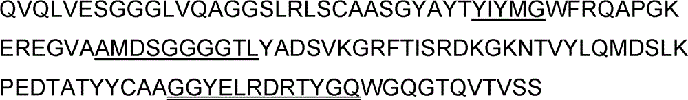 Antigenic epitope displaying method based on single domain antibody