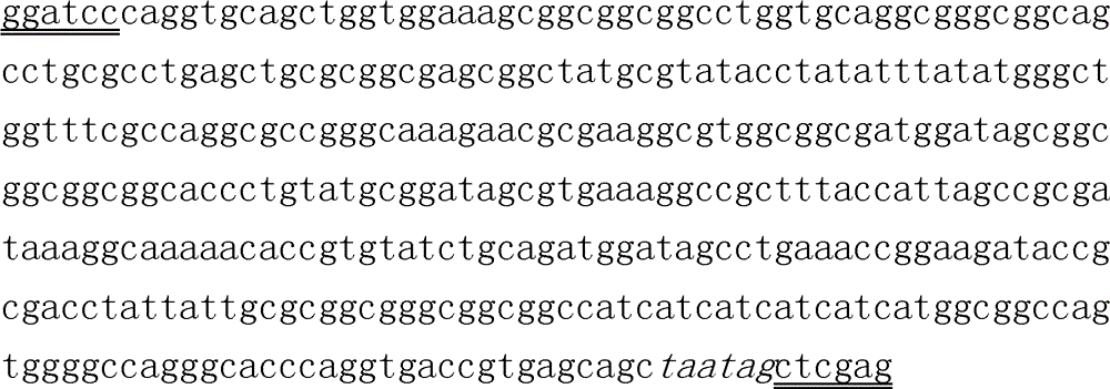 Antigenic epitope displaying method based on single domain antibody