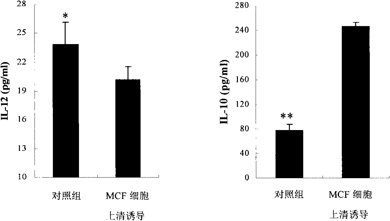 Heterogenetic antigen-Fc fusion protein capable of inducing antitumor immunity of organism and application thereof