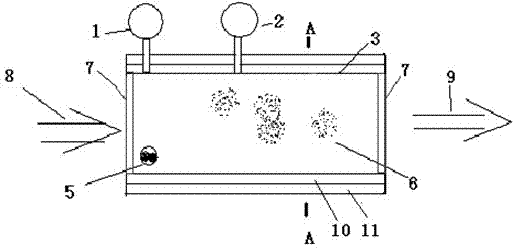 Method and apparatus for producing mercury vapor with standard concentration