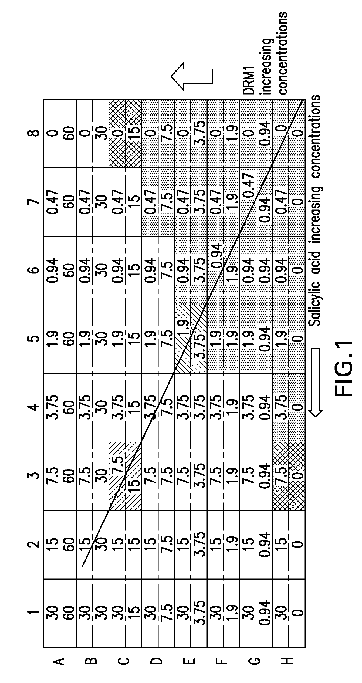 Compositions and methods for treating acne vulgaris