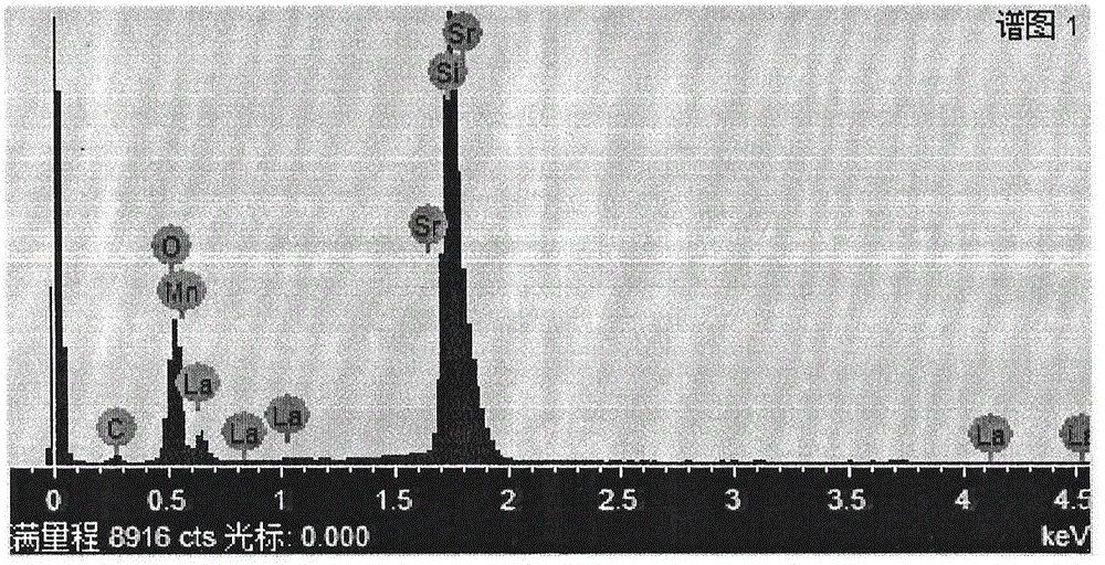 Strontium manganate nanowires and microwires and preparation method thereof