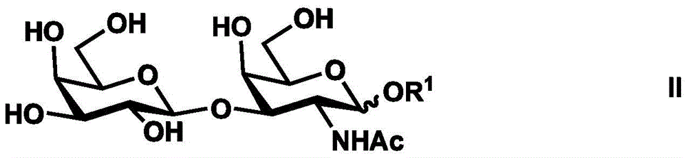Synthesis method of tetrasaccharide MAG antagonist