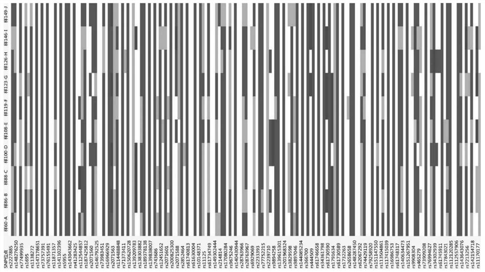 A method for population origin inference based on hair shaft proteome nssnp