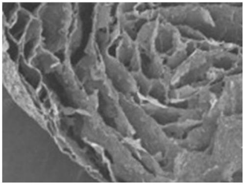 Method for continuously producing graphene aerogel microspheres