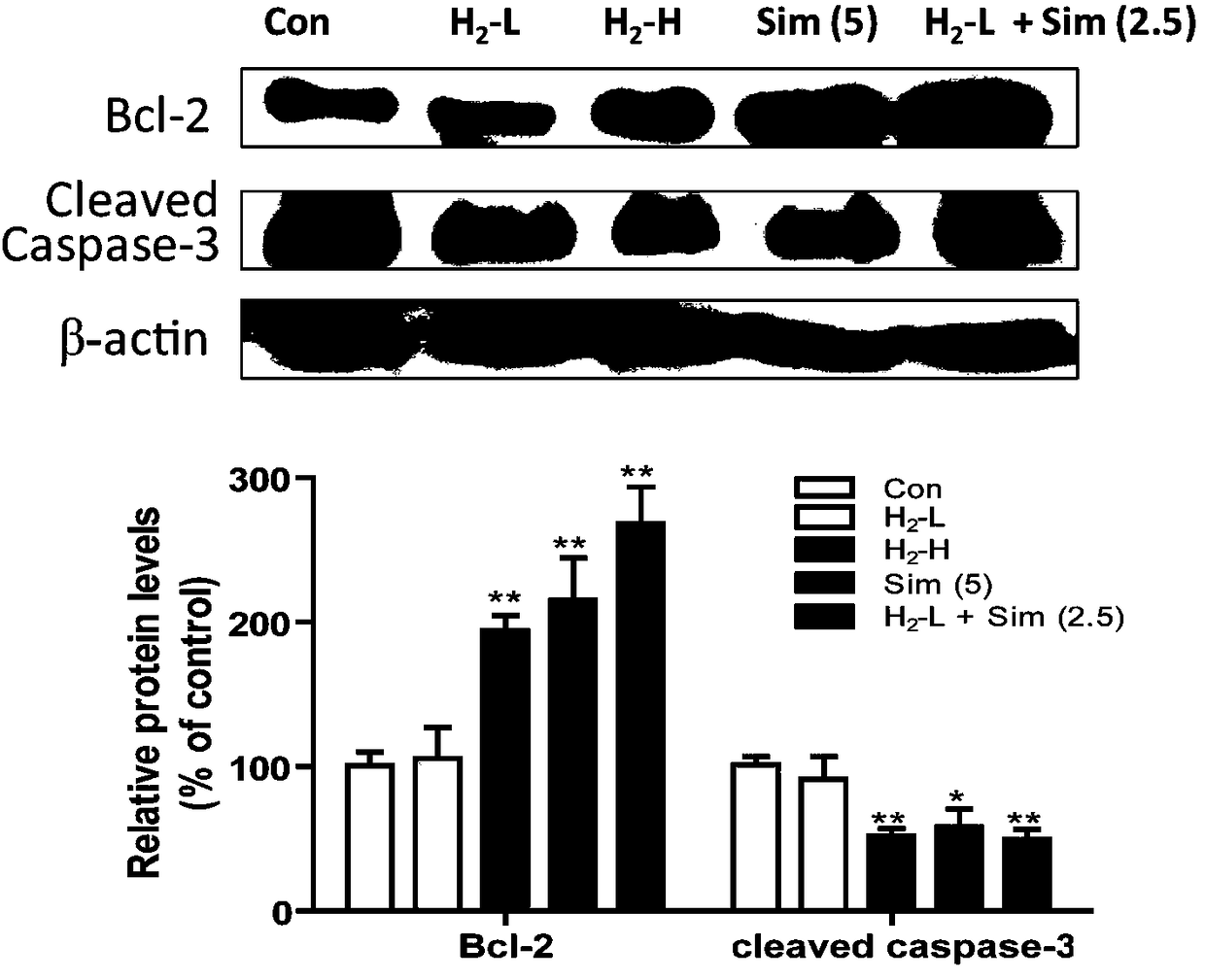 Application of hydrogen saturated saline