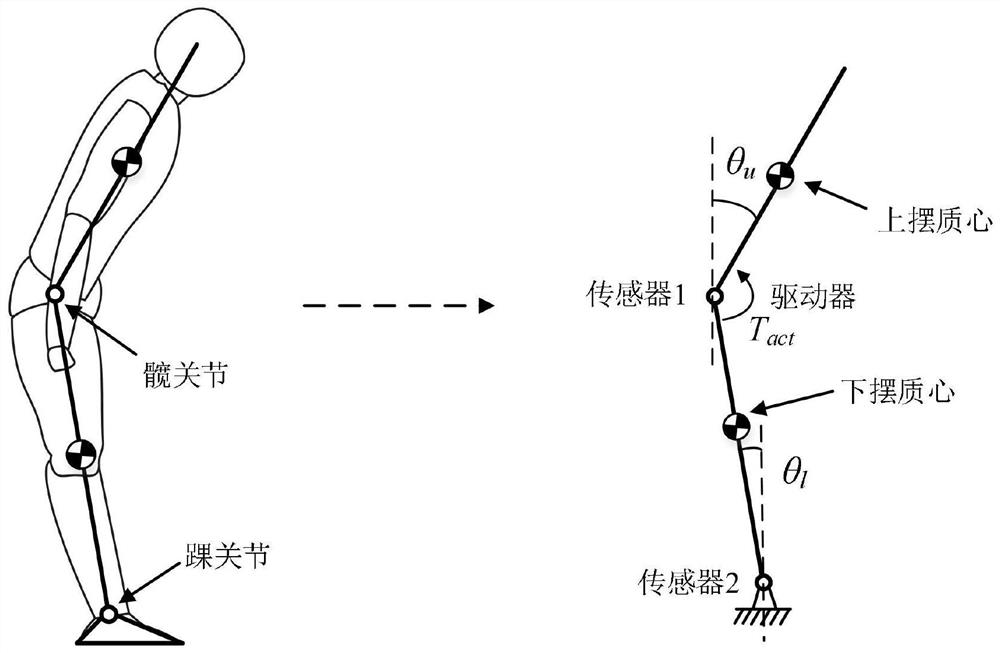 A robot balance control method and device based on reduced-order pole allocation method