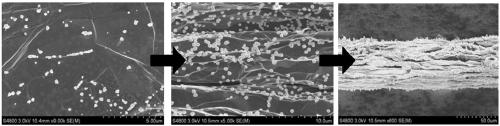 A kind of graphene-gold composite fiber and preparation method thereof