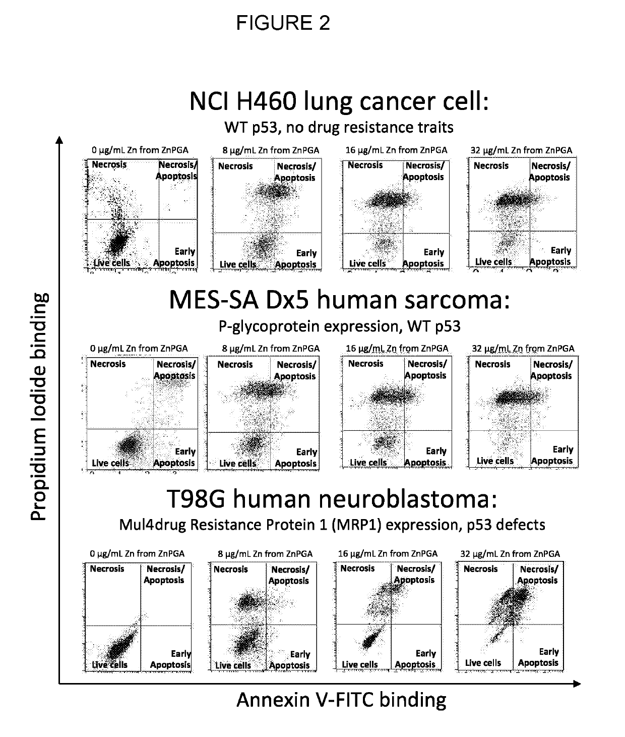 Zinc-[gamma]-pga compositions and methods for treating cancer