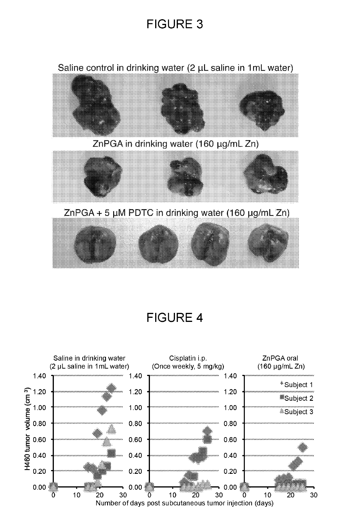 Zinc-[gamma]-pga compositions and methods for treating cancer