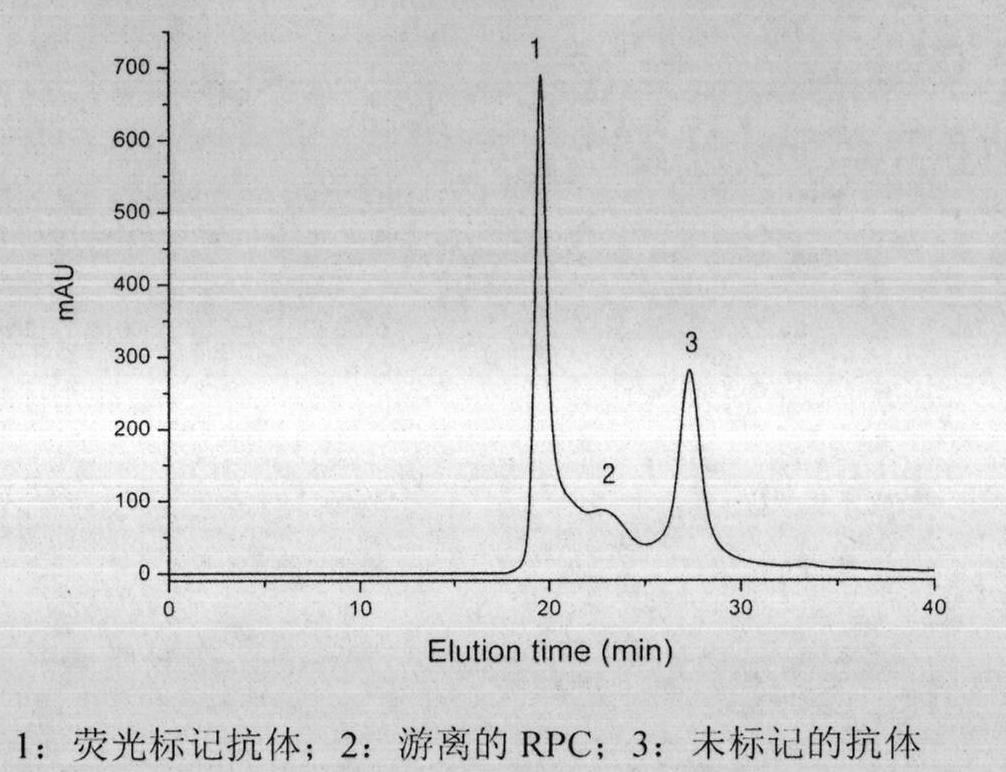 Preparation method of R-phycocyanin (RPC)-marked fluorescent anti-antibody