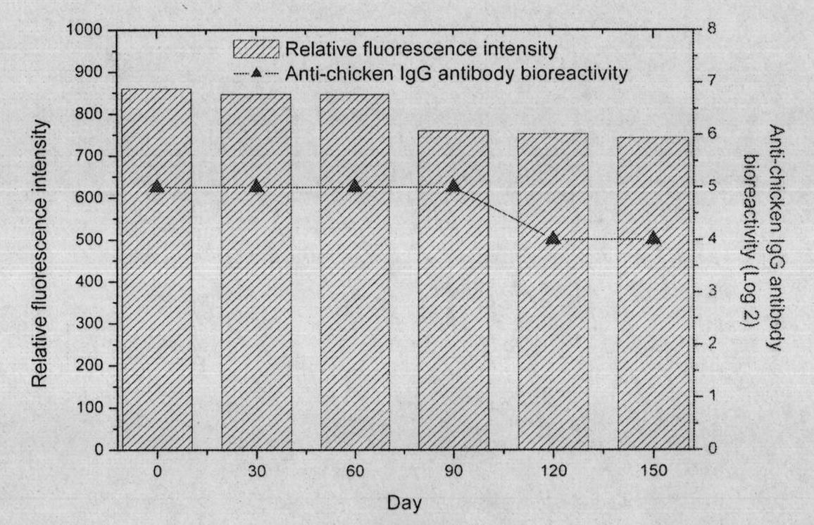 Preparation method of R-phycocyanin (RPC)-marked fluorescent anti-antibody