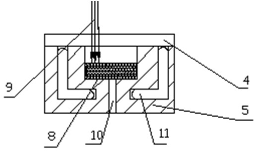 A plastic plasticizing method and device based on co2 laser