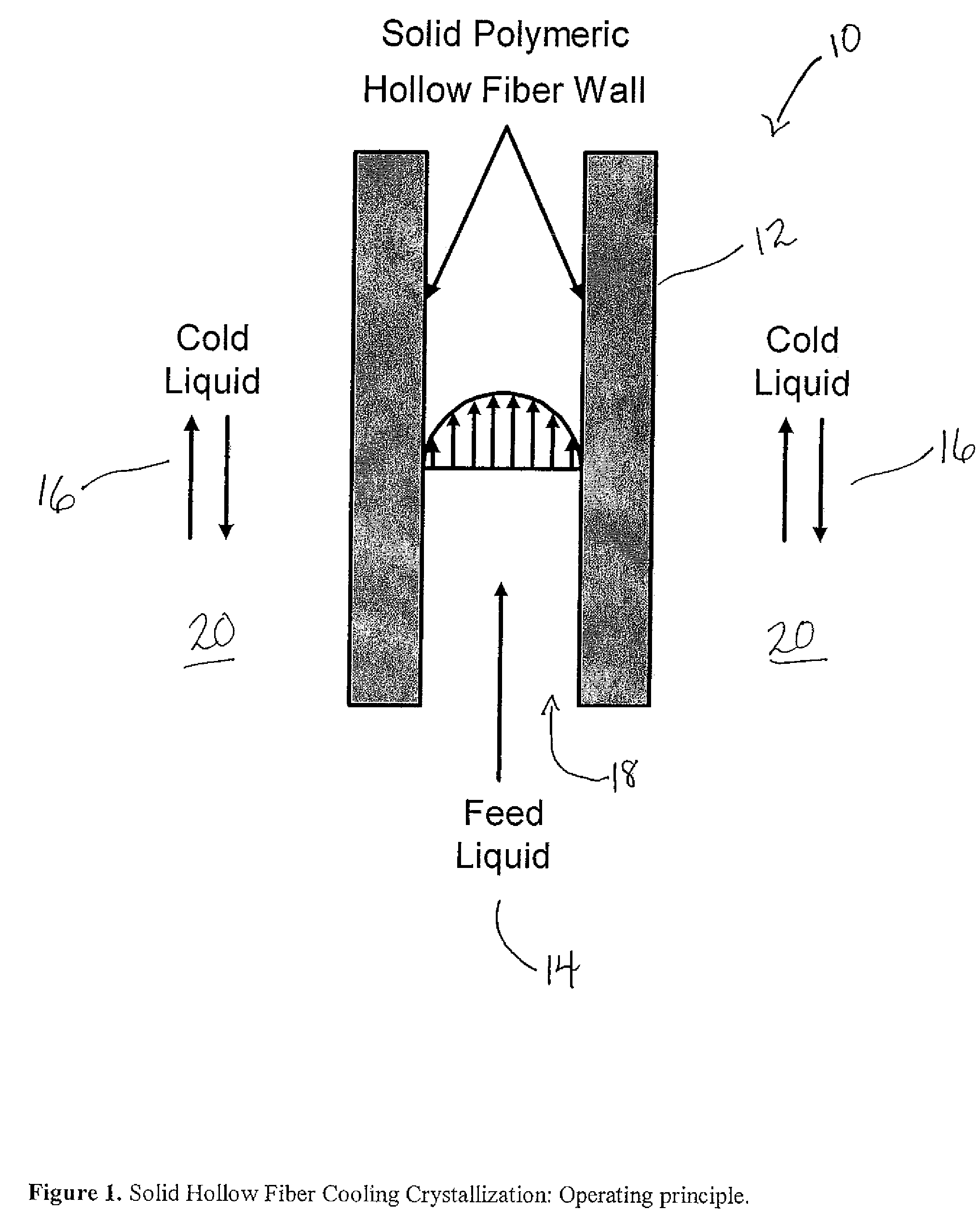 Solid hollow fiber cooling crystallization systems and methods