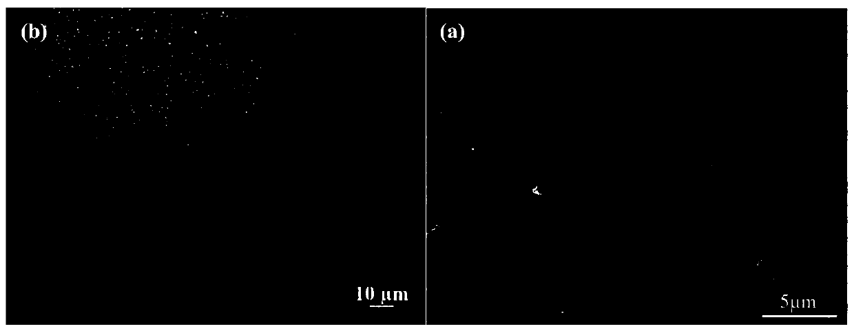 Method for preparing high strength and ductility magnesium-rare earth alloy through selective laser melting additive manufacturing technology