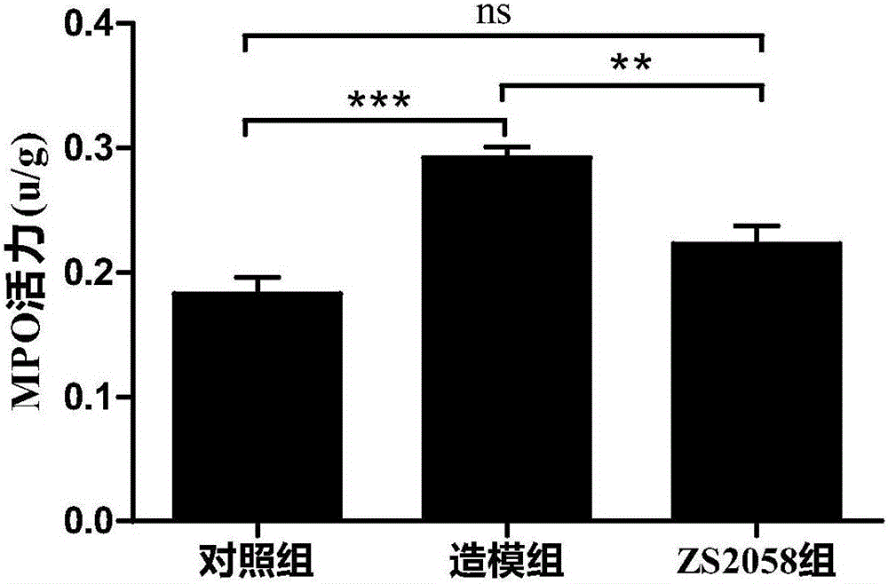 Lactobacillus plantarum ZS2058 and application thereof