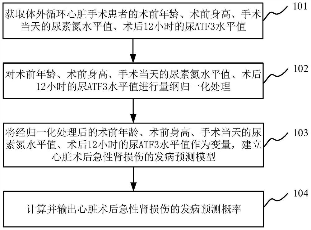Early warning method and system for acute kidney injury after extracorporeal circulation cardiac surgery