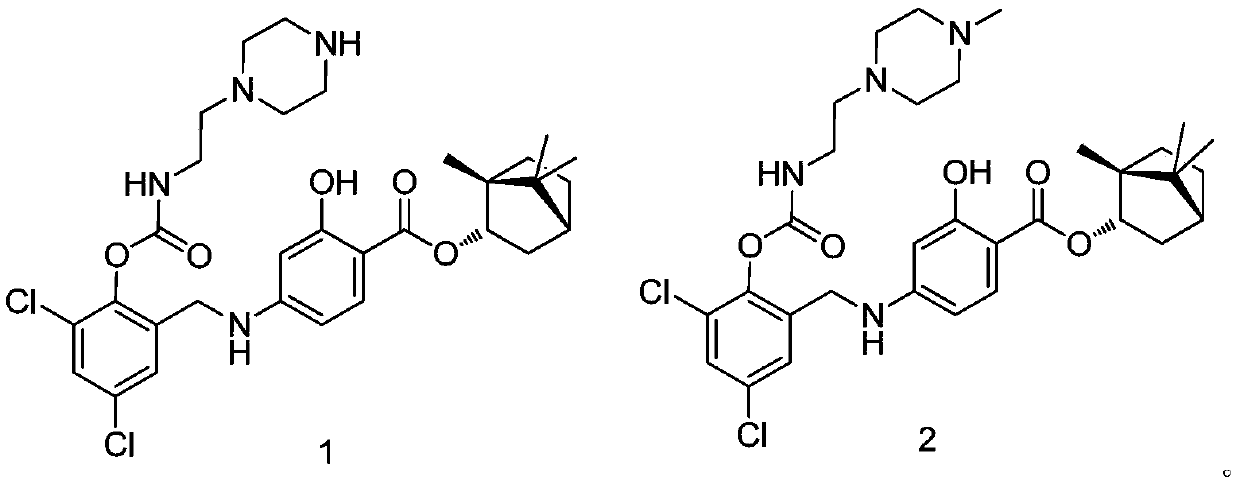 2-piperazine ethyl phenyl carbamate derivatives and pharmaceutical application thereof