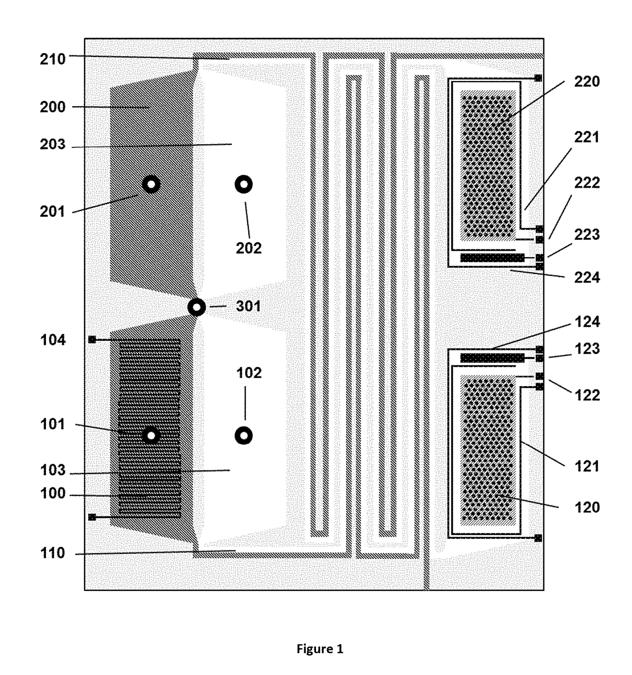 Method for liquid authentication by detection of flavonoid derivatives