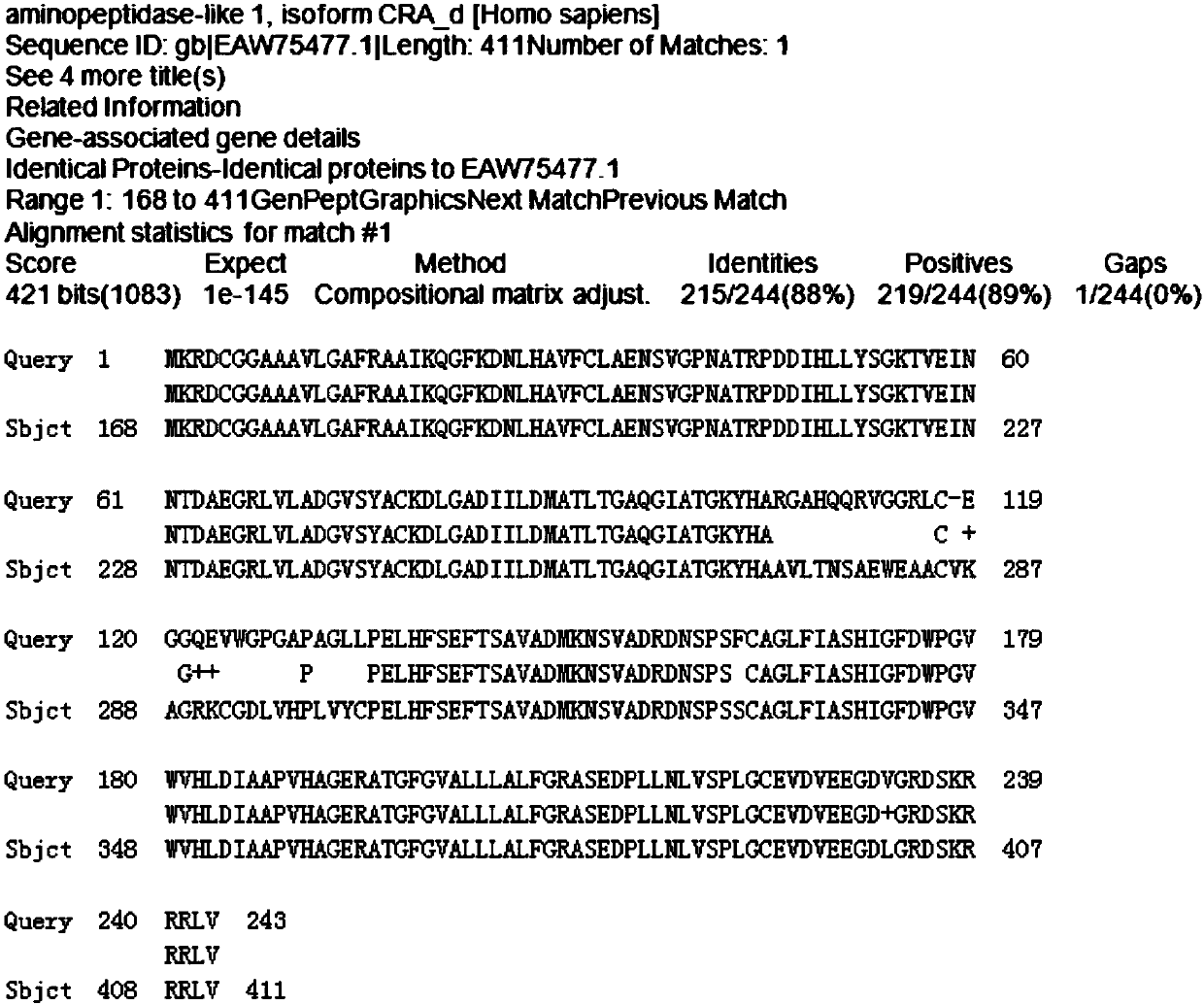 Human aminopeptidase 1 mutant protein and application thereof