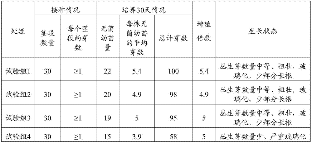 Method for promoting in-vitro rapid propagation of zingiber mioga