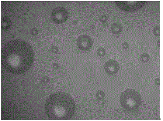 A kind of preparation method of magnetic agarose microsphere