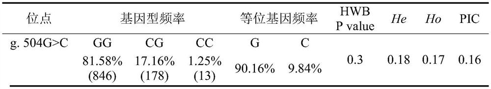 Hu sheep SLC27A6 gene SNP detection method and application of Hu sheep SLC27A6 gene SNP detection method in meat quality character early screening