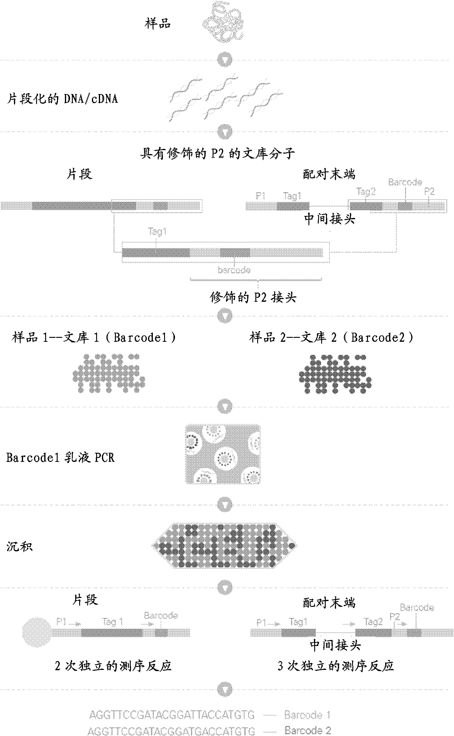 DNA index and application thereof in construction and sequencing of mate-paired indexed library