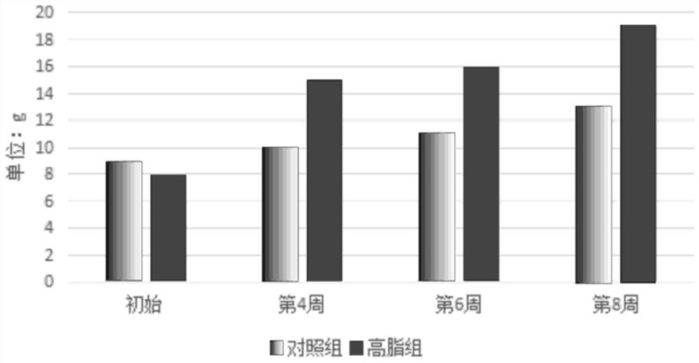 Rat non-alcoholic fatty liver model feed as well as preparation method and application thereof