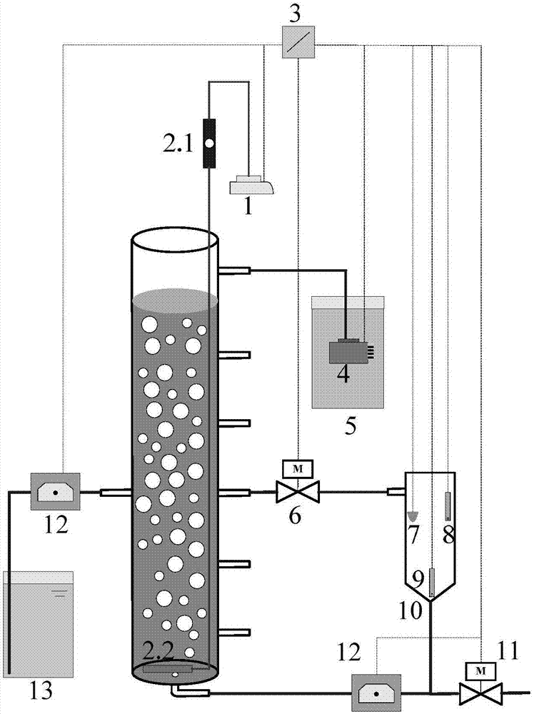 Reactor provided with sludge discharging device for enhancing stable operation of aerobic granular sludge, and method thereof