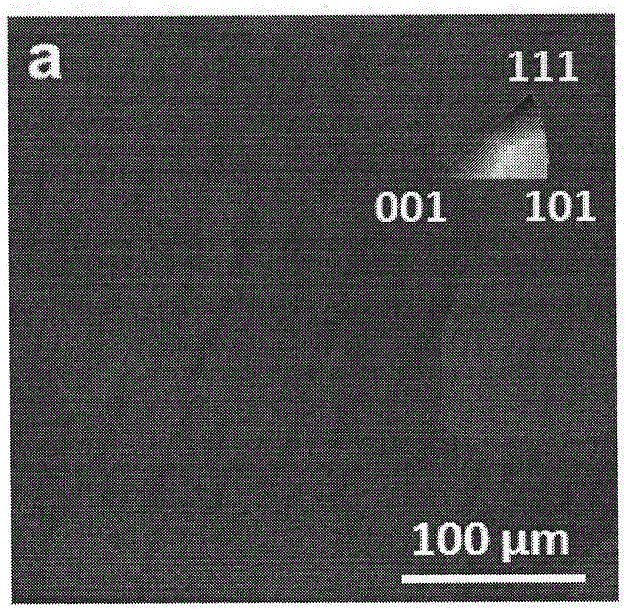 Preparation method of large-size Cu(100) single-crystal copper foil