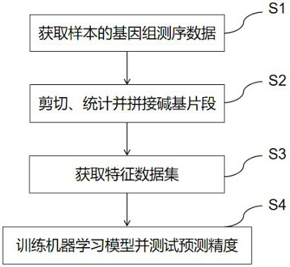 A Method for Predicting the Minimum Inhibitory Concentration of Drugs Using Gene Sequence Information