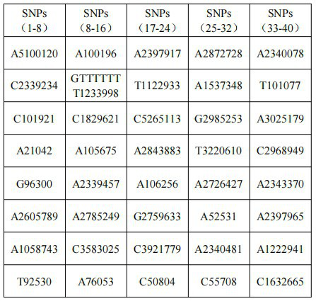 A Method for Predicting the Minimum Inhibitory Concentration of Drugs Using Gene Sequence Information