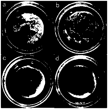 A kind of broad-spectrum antibacterial amphiphilic biological carbon material and its preparation method and application