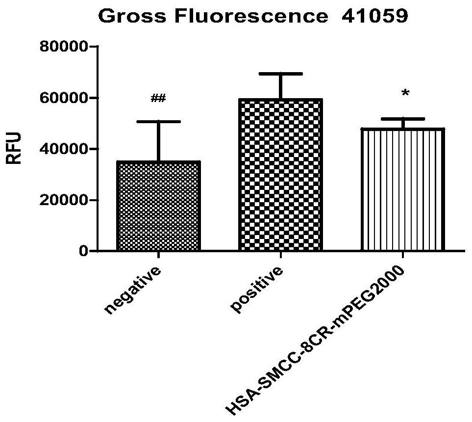 Preparation and application of surface double-modified targeting human serum albumin nano-drug carrier