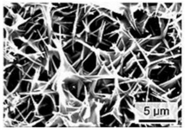 Conductive silver paste composite material, display device and preparation method thereof