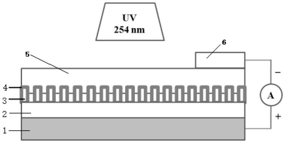 Flexible solar blind ultraviolet detector based on TiO2/Ga2O3 nano-phase junction and preparation method of flexible solar blind ultraviolet detector