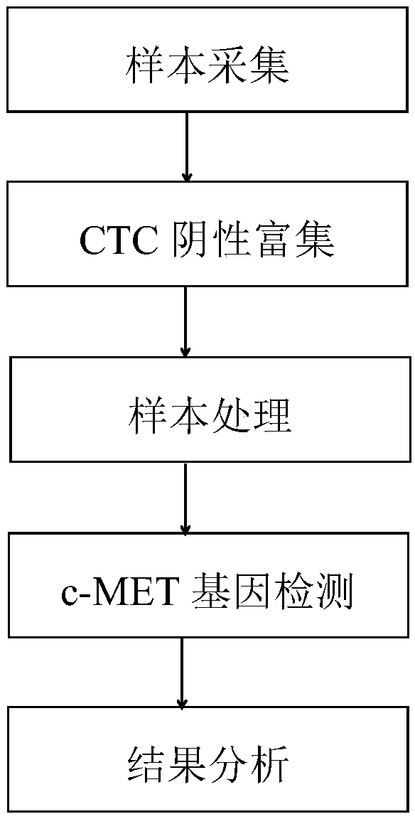 Method for detecting copy number variation of c-MET gene from human peripheral blood CTC and kit