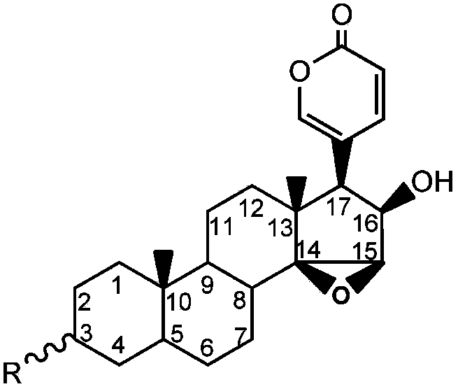 Specificity probe substrate of glucuronic acid transferase UGT1A3 and application of specificity probe substrate