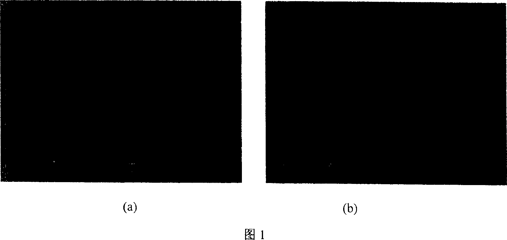 Polymer microporous modification by corona induced grafting technology