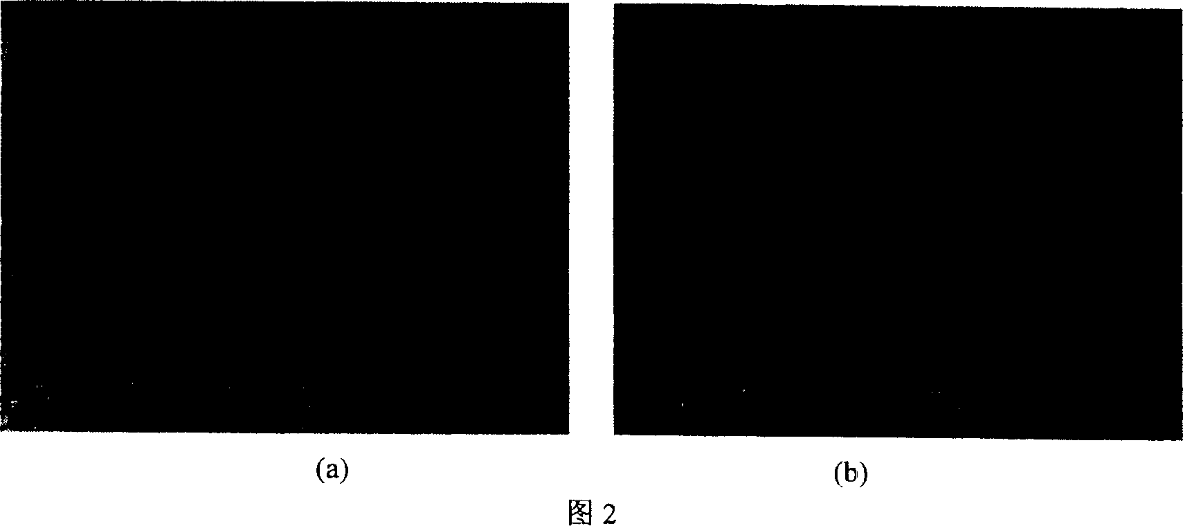 Polymer microporous modification by corona induced grafting technology